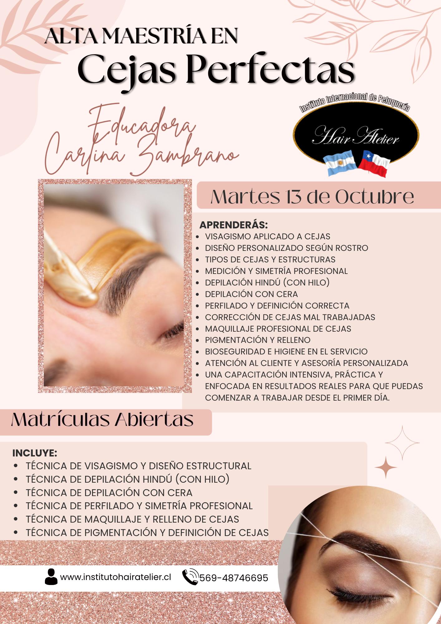 Curso Presencial de Cejas Perfectas Santiago - Visagismo, Diseño y Pigmentación